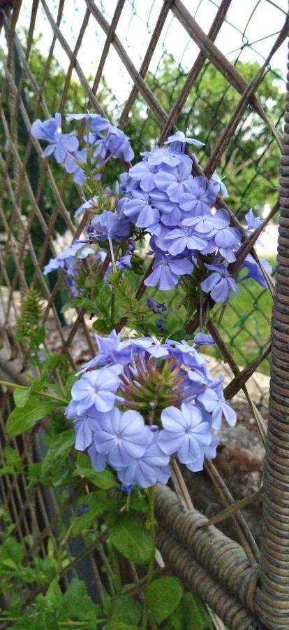 Elizabeth'S Paradise Kanálion 外观 照片