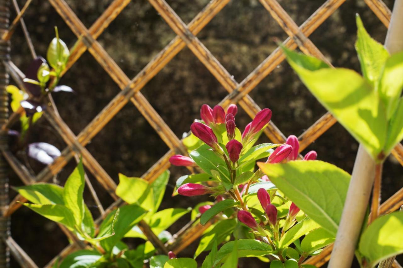 Elizabeth'S Paradise Kanálion 外观 照片